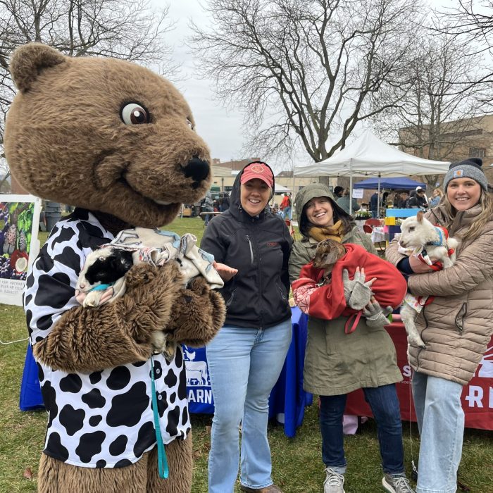 touchdown_chesters barn animal sanctuary